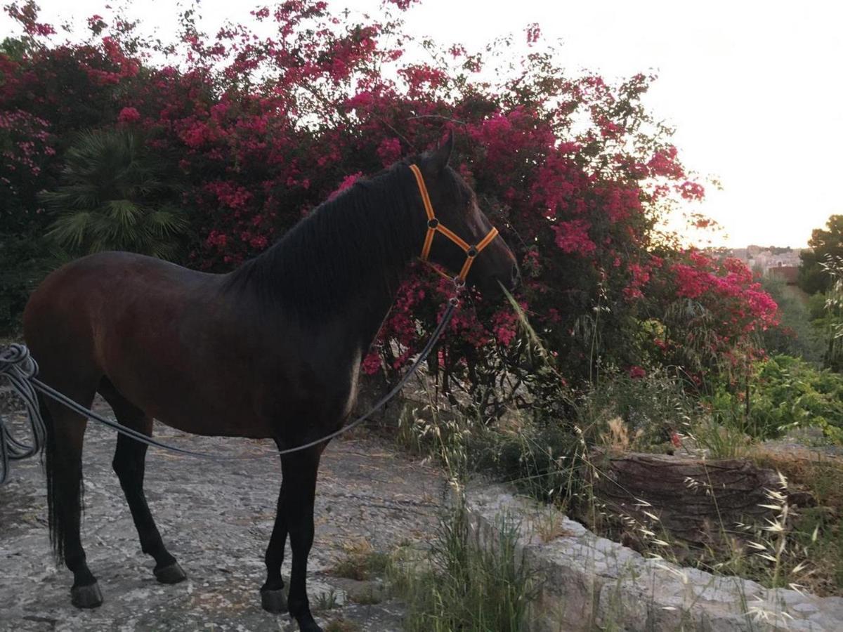 Country Sicily Home Favara Buitenkant foto