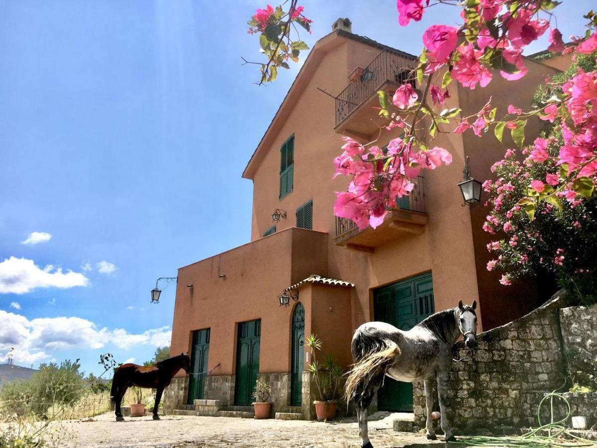 Country Sicily Home Favara Buitenkant foto
